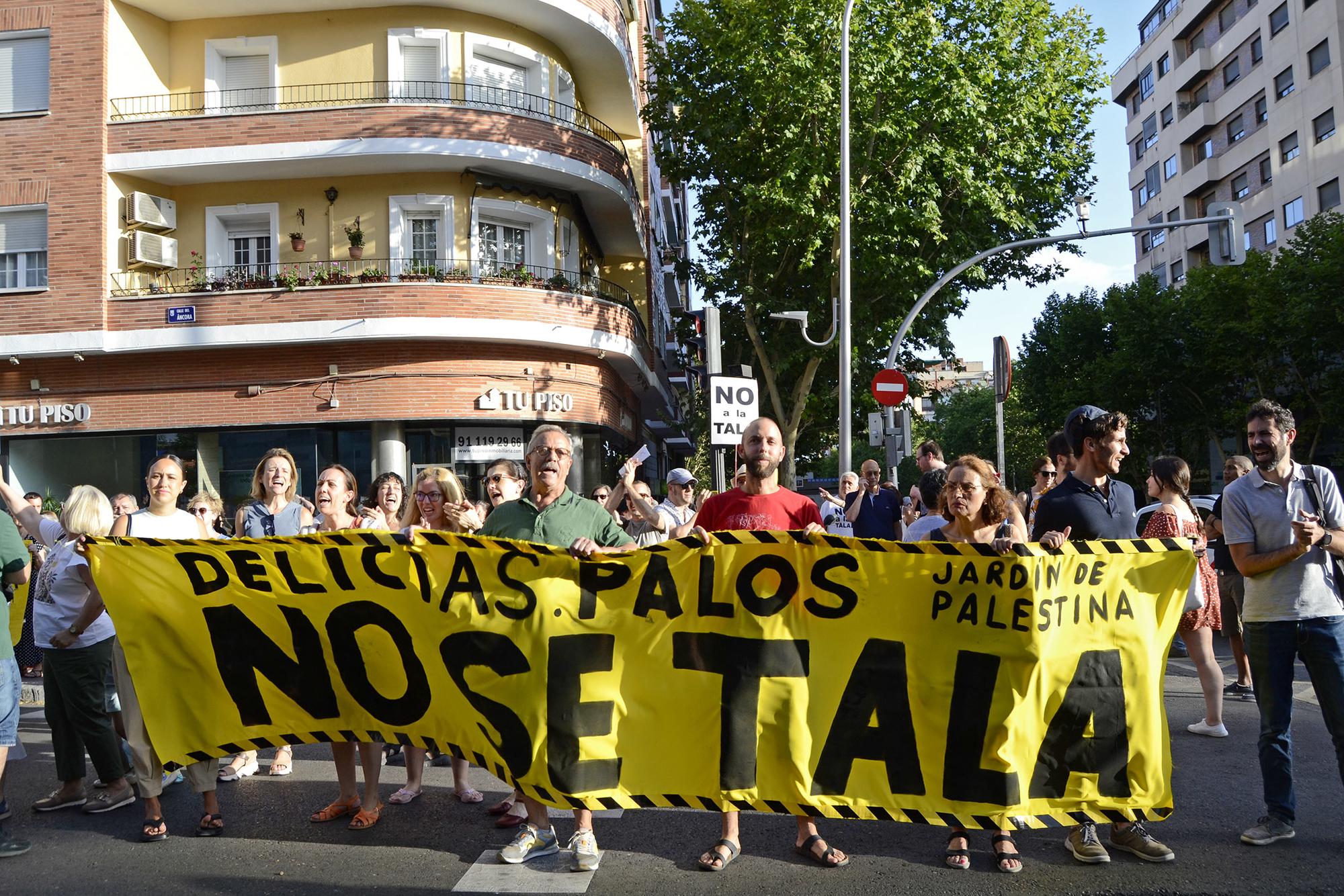 No a la tala salvemos la arboleda - 3